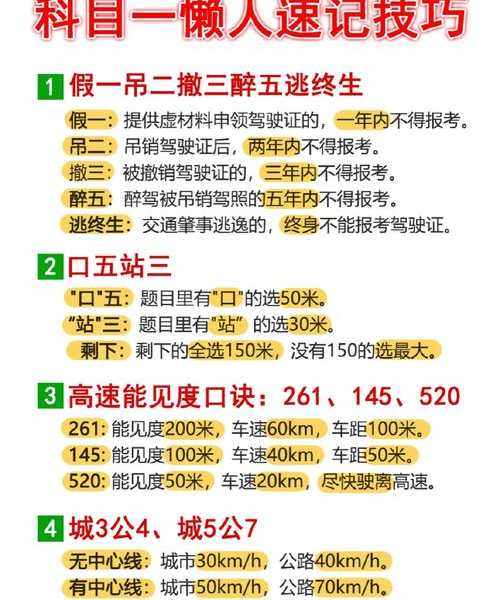 跨省临牌办理深度指南:一位老司机的避坑实战手册