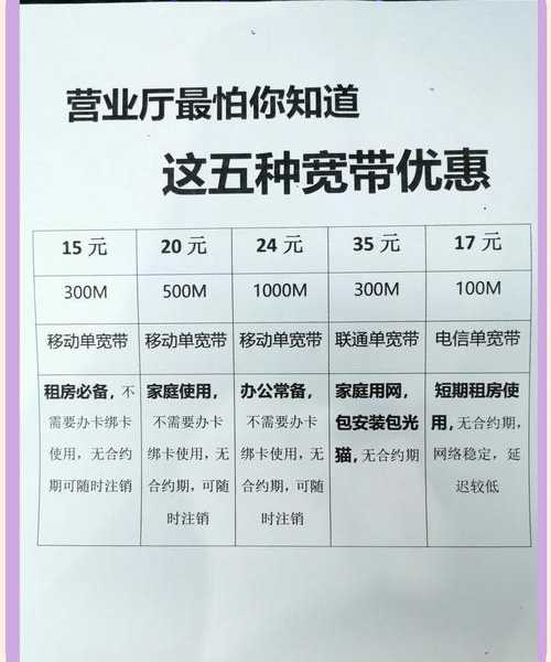 重庆固话宽带余额查询全场景指南:从办公室到家庭的高效管理方法论