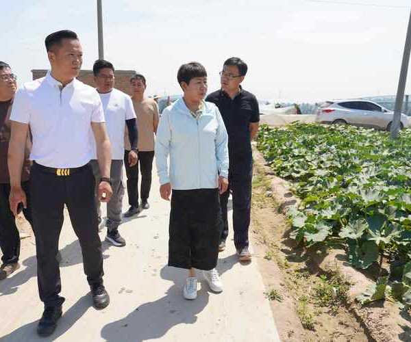 保定市清苑行政辖区划分最新调整:这些隐藏查询技巧你知道吗?